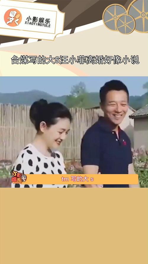 娱乐吃瓜 汪小菲小说,汪小菲的娱乐吃瓜小说  第3张